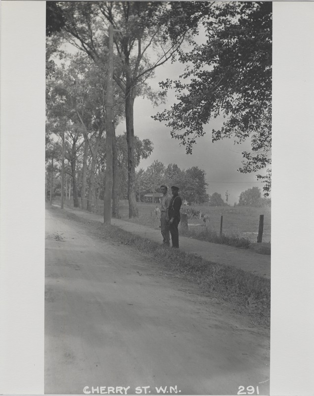 Newton Forestry Department Photographs, 1908-1918 - Cherry Street, West Newton -