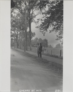 Newton Forestry Department Photographs, 1908-1918 - Cherry Street, West Newton -