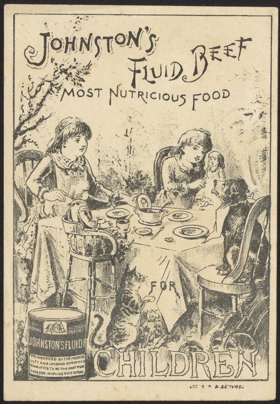 Johnston's Fluid Beef, most nutricious food for children