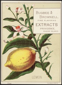 Lemon - Bugbee & Brownell, fine flavoring extracts Providence, Rhode Island