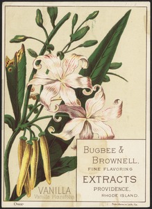 Vanilla, Vanilla Planifolia - Bugbee & Brownell, fine flavoring extracts, Providence, Rhode Island