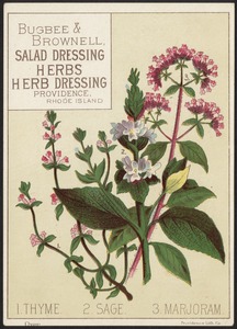1. Thyme. 2. Sage. 3. Marjoram. - Bugbee & Brownell, salad dressing, herbs, herb dressing, Providence, Rhode Island