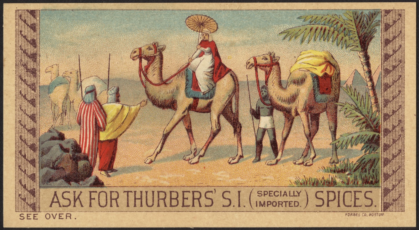 Ask for Thurbers' S. I. (specially imported) spices