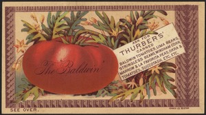 Ask for Thurbers' canned Baldwin tomatoes, lima beans, stringless beans, Windham corn,  Marrow & La Favorita peas, okra & tomatoes, succotash, etc. etc. - "The Baldwin"