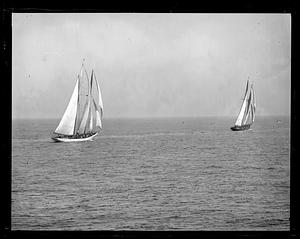 Fishing schooners