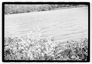 Bodies of water