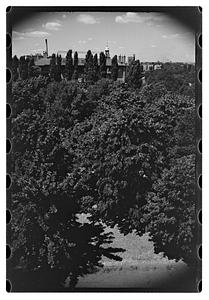 Black Forest and views from roof - Gertrude Sands