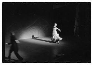 Follies