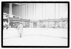 East Boston Bank