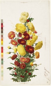 Yellow and red chrysanthemums