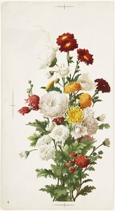 White and red chrysanthemums