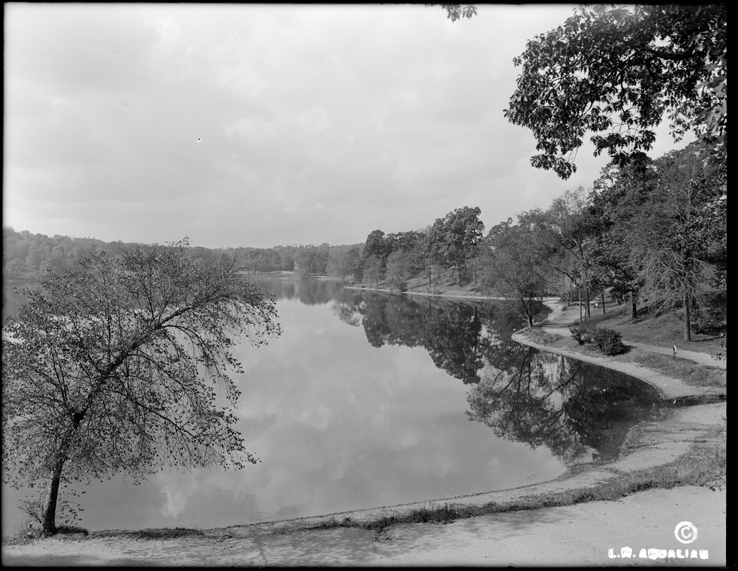 Jamaica Pond, Lockstead Avenue side