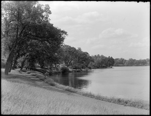 Jamaica Pond, Perkins Street, Parkman Drive side