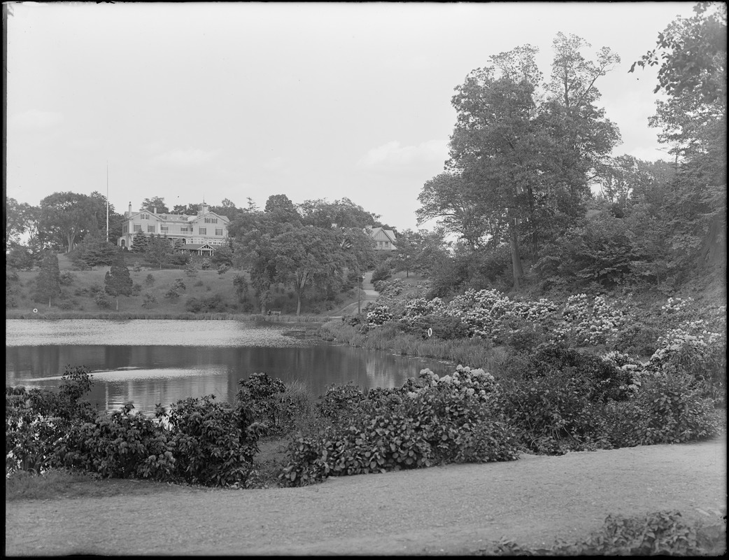 Ward's Pond - Digital Commonwealth