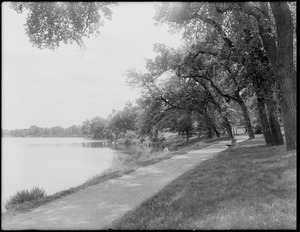 Jamaica Pond and Parkman Road