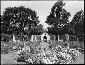 Rose garden inside Franklin Park