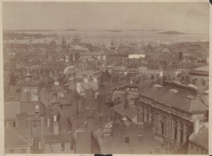 View from State House looking north, 1858
