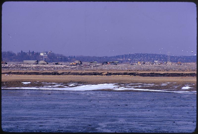 Saugus Dump Central section