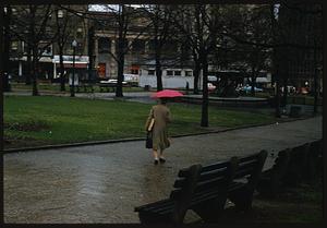 Woman with umbrella walking in Boston Common