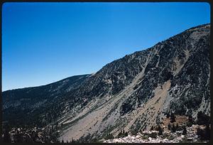 Slope of hill or mountain dotted with trees