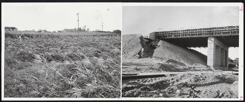 Cape Cod Damage - Torrential rains, driven by Hurricane Edna, washed out this embankment at the new bridge nearing completion where the new mid-Cape highway passes over the Yarmouth-Hyannis Rd. Photo at right shows how the backlash of the hurricane levelled this cornfield in Barnstable, one of the biggest on Cape Cod.