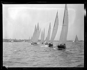 Sailboats