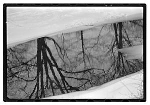 Snow pictures - Fenway