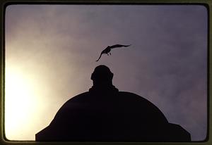 Boston 1981: A seagull flies near the top of a tower on the Longfellow Bridge