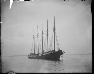 Schooner Dorothy Palmer has a severe accident in collusion with a united fruit steamer. Her bow was torn away.