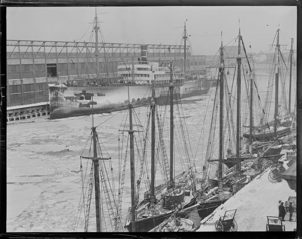 Fish pier in winter