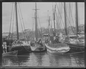 Gloucester harbor showing fishing schooners Nirvana and Hope Leslie