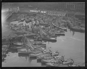 T-wharf, Italian fishermen rush in from the banks to celebrate Masquerade Day