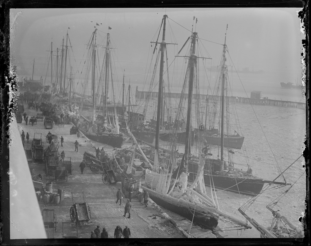 Waterfront fish pier - boats