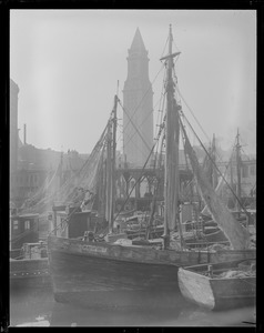 Italian fishing fleet, T-wharf