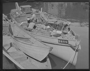 Italian fishermen at T-wharf