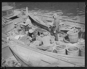 Italian fishermen at T-wharf