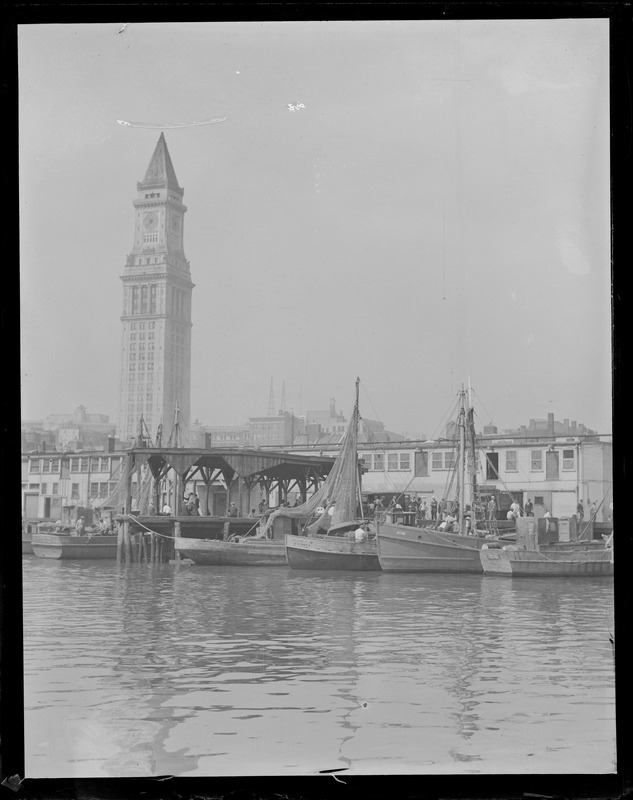 Fishing boats at old T-wharf