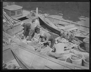 Italian fishermen at T-wharf