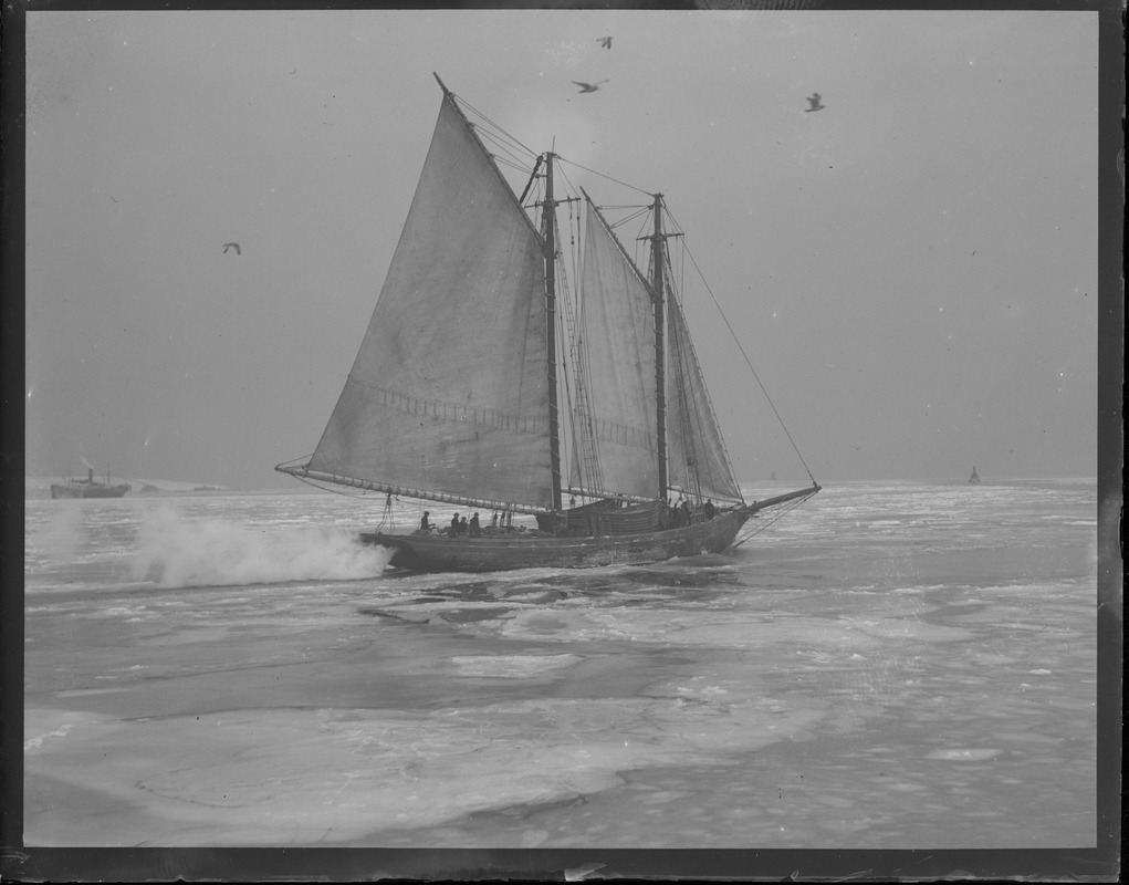 Fishing schooner Pioneer pushing through the ice in Boston Harbor heading for the banks