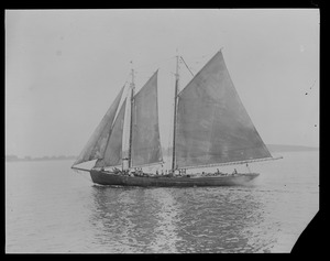 Fishing Industry, Boston - Typical Grand Banks fishermen with sails leaving Boston Harbor for the Grand Banks