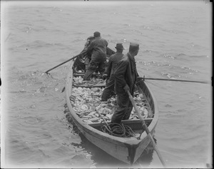 Men fishing - boat filled with fish