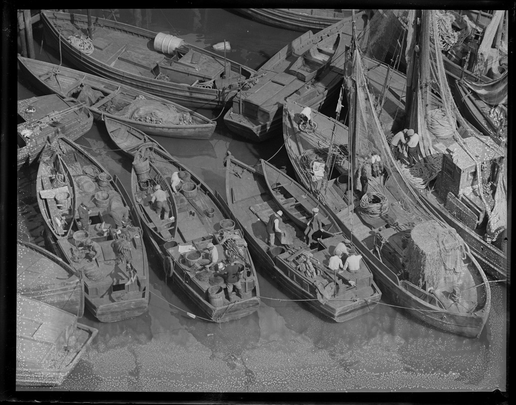 Old T-wharf: Italian fishermen baiting hooks