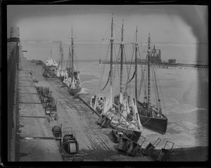 Fishing trawlers at South Boston fish pier. Back to front: Cornell / Andrew and Rosley / Cape Ann / Ruth and Margaret / Wanderer / Corinthian