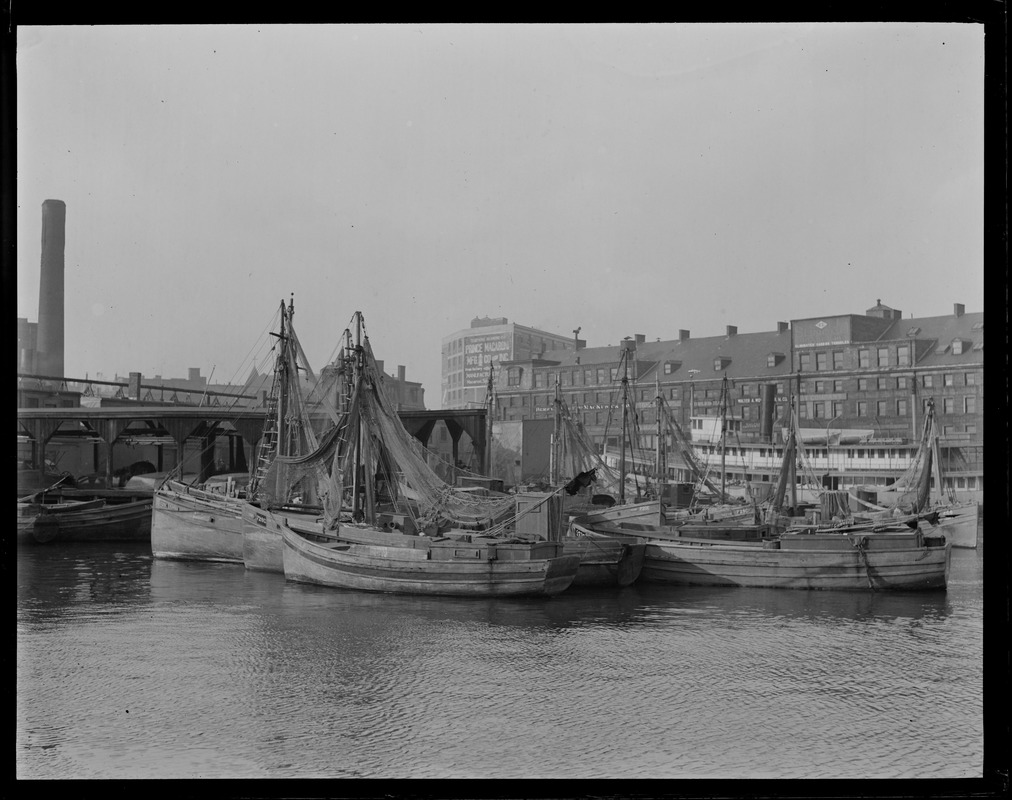 Fishing - Boats - Eastern Packet pier to commercial wharf