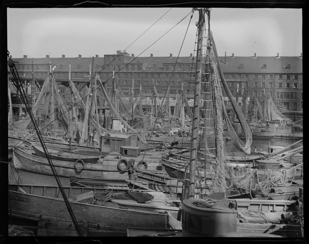 T-wharf. Italian fishermen.