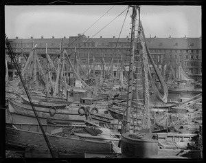 T-wharf. Italian fishermen.