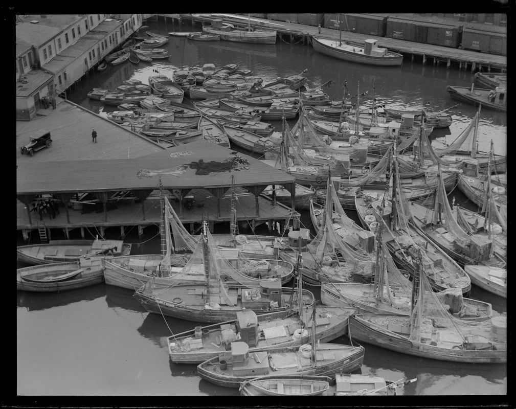 Italian fishing fleet at T-wharf