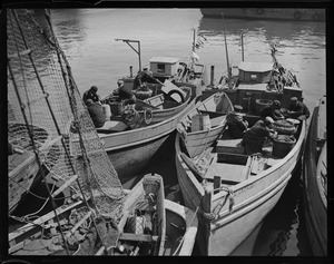 T-wharf Italian fishermen
