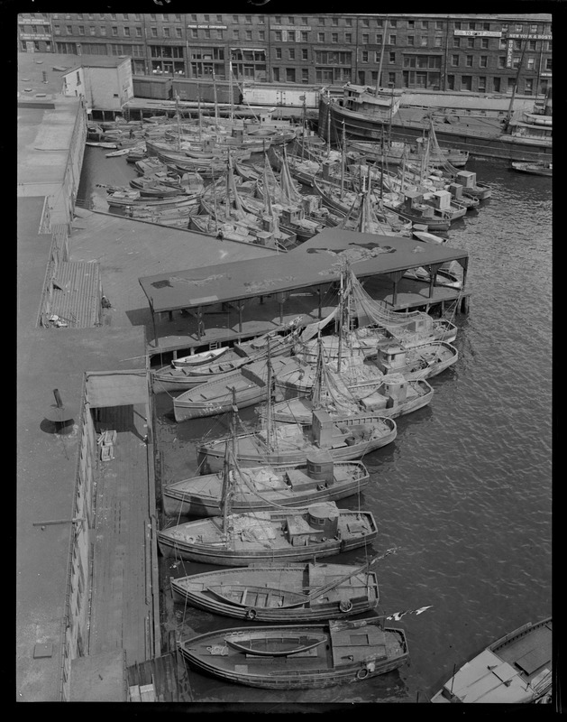 Italian fishing fleet at old T-wharf - Digital Commonwealth