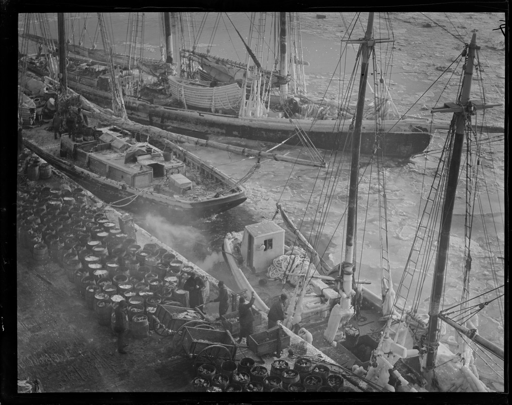 South Boston fish pier, winter